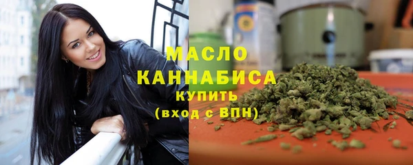 гидра Горнозаводск