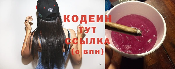 гидра Горнозаводск