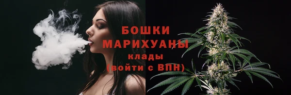 гидра Горнозаводск