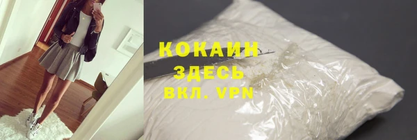 гидра Горнозаводск