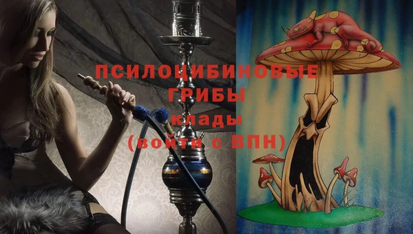 гидра Горнозаводск