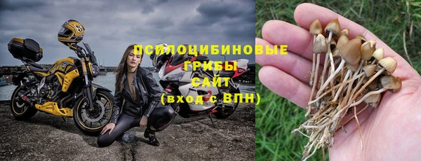 прущий лед Горно-Алтайск