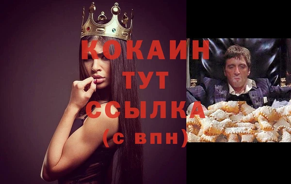 прущий лед Горно-Алтайск